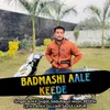 About Badmashi Aale Keede Song